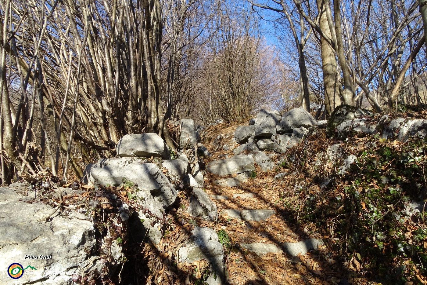 16 Sentiero-mulattiera con fondo gradinato e muri a secco in pietra.JPG